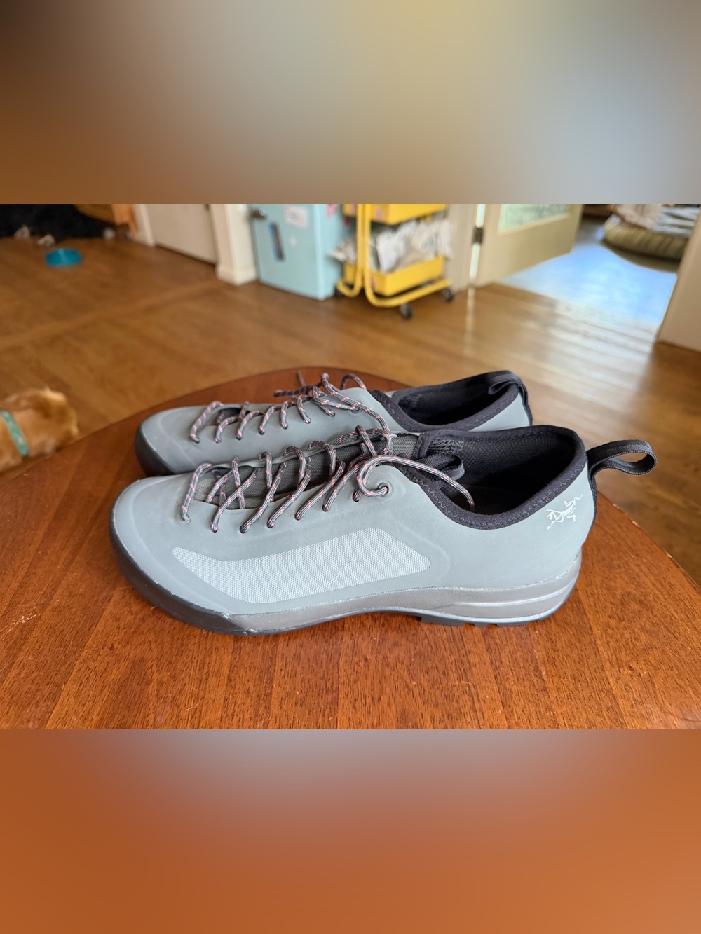 Like New Arc'teryx Women's Gray and Black Low-Profile Sneakers